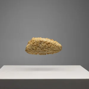 Filete Panado