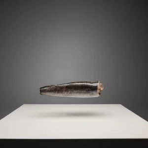Pescada