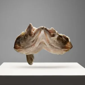 Caras Bacalhau