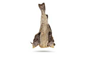Bacalhau