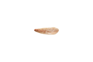Peixe